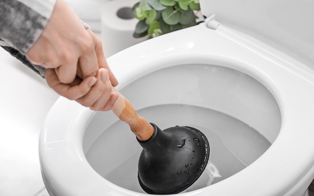 Fixing a Clogged Toilet, Ermen Plumbing